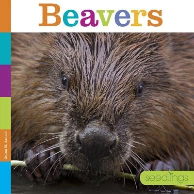 Front cover_Seedlings: Beavers