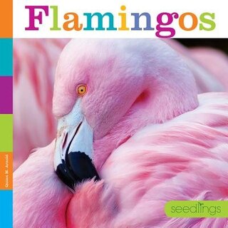 Couverture_Seedlings: Flamingos