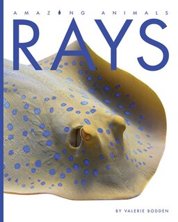 Front cover_Rays