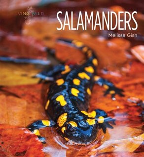Couverture_Salamanders
