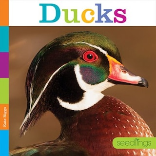 Front cover_Ducks