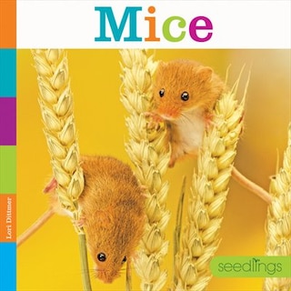 Front cover_Mice