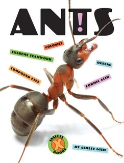 Couverture_Ants