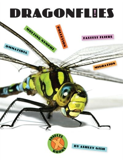 Front cover_Dragonflies