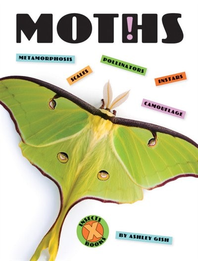 Couverture_Moths