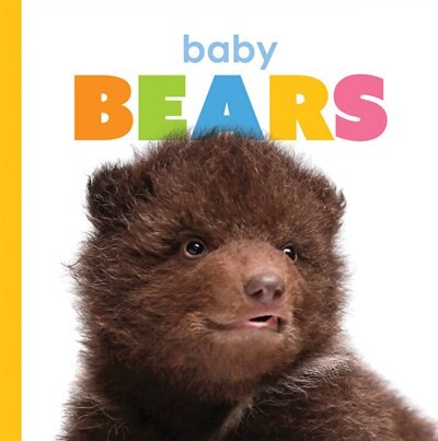 Couverture_Baby Bears