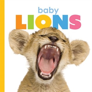 Front cover_Baby Lions