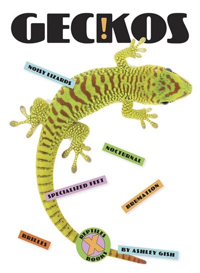 Front cover_Geckos