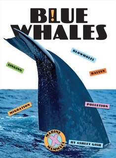 Front cover_Blue Whales