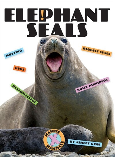 Couverture_Elephant Seals