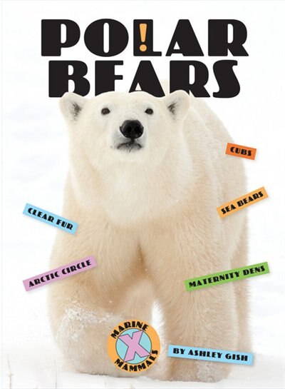 Front cover_Polar Bears