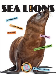 Couverture_Sea Lions