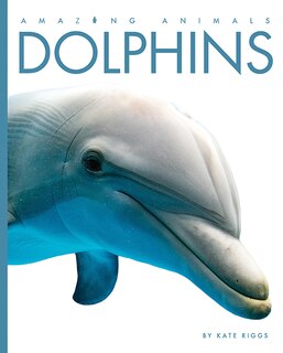 Front cover_Dolphins