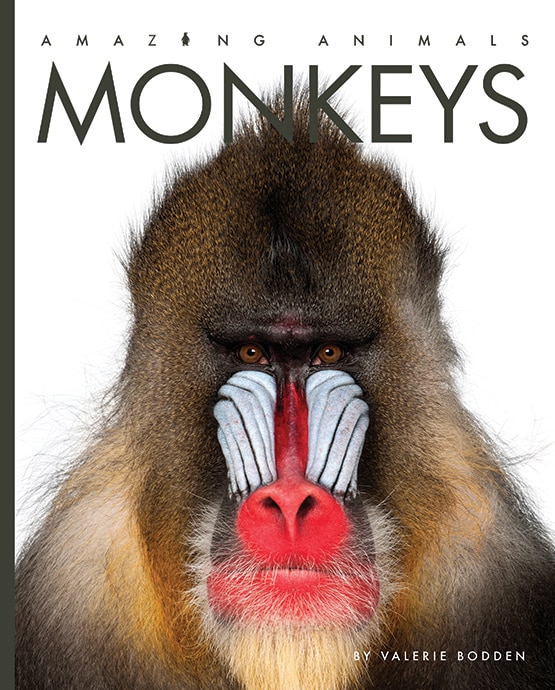 Couverture_Monkeys