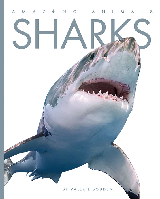Couverture_Sharks