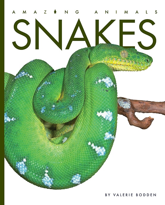 Front cover_Snakes