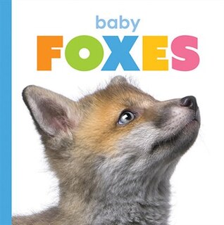 Couverture_Baby Foxes