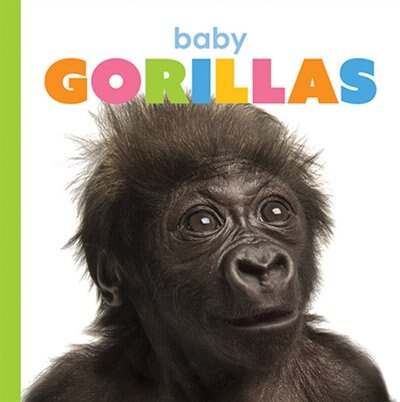 Front cover_Baby Gorillas