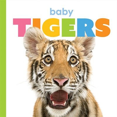 Couverture_Baby Tigers