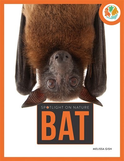 Front cover_Bat