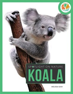 Couverture_Koala