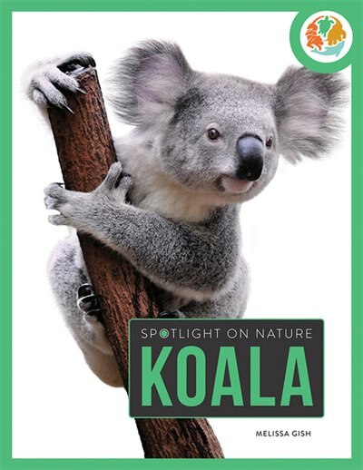 Couverture_Koala