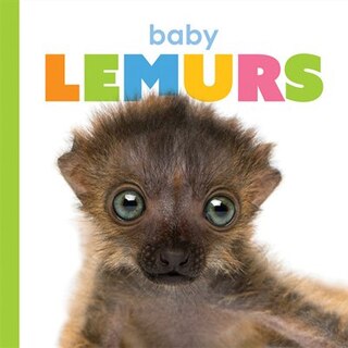 Couverture_Baby Lemurs