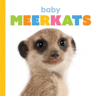 Couverture_Baby Meerkats