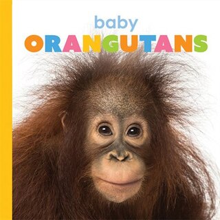 Front cover_Baby Orangutans