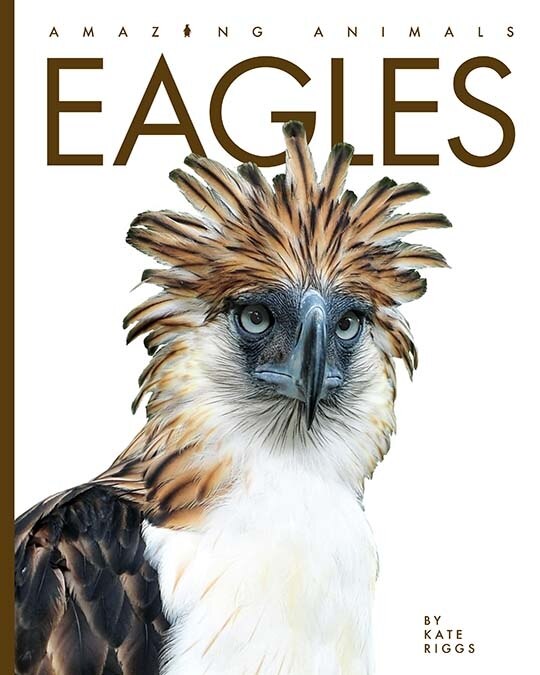 Couverture_Eagles