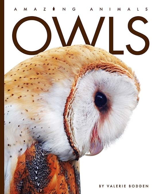 Front cover_Owls