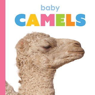 Front cover_Baby Camels