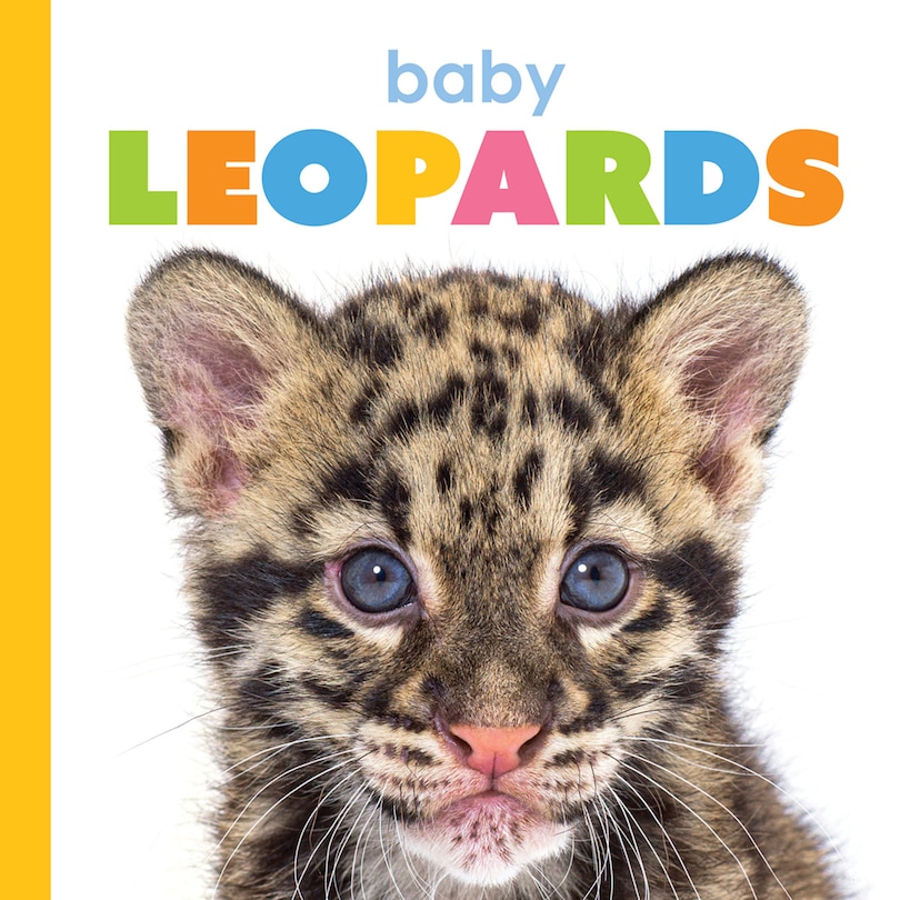 Front cover_Baby Leopards