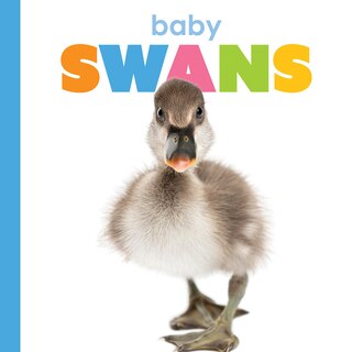 Couverture_Baby Swans