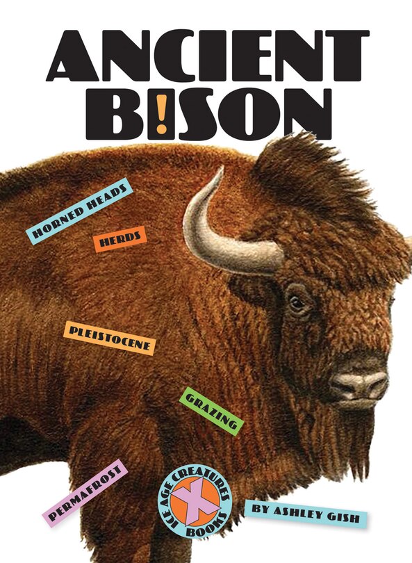 Couverture_Ancient Bison