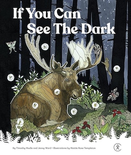 Front cover_If You Can See The Dark