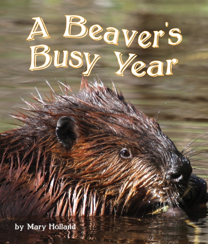 Couverture_The Beavers' Busy Year