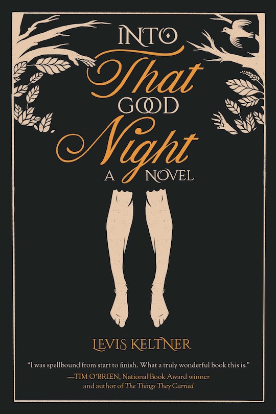 Front cover_Into That Good Night