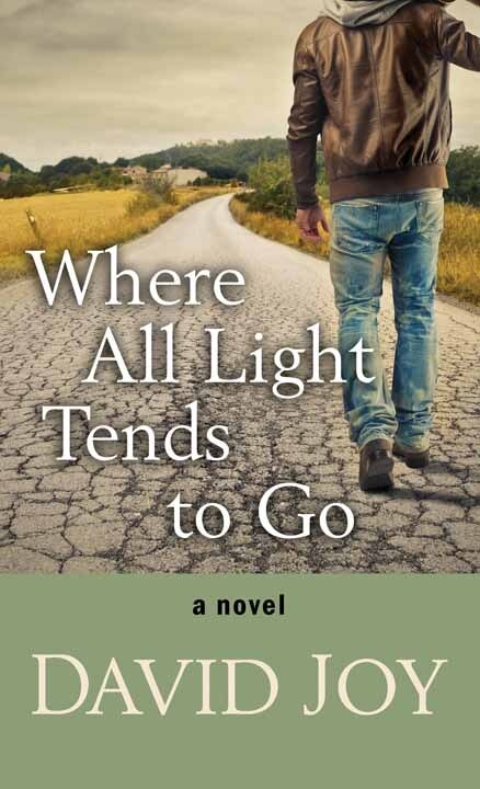 Couverture_Where All Light Tends to Go