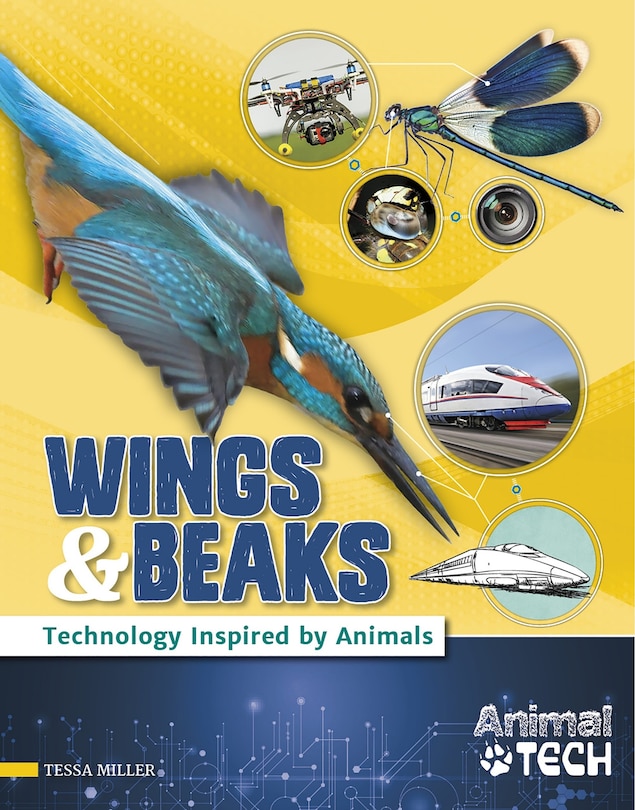 Couverture_Wings & Beaks