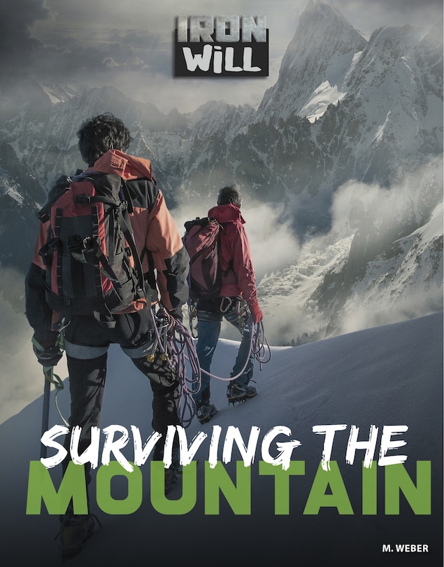 Front cover_Surviving the Mountain