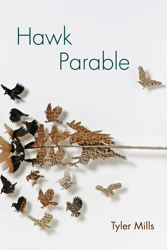Couverture_Hawk Parable