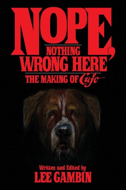 Couverture_Nope, Nothing Wrong Here