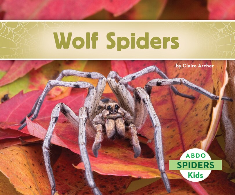 Front cover_Wolf Spiders