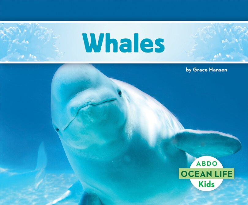 Front cover_Whales
