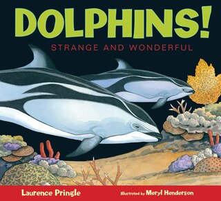 Couverture_Dolphins!