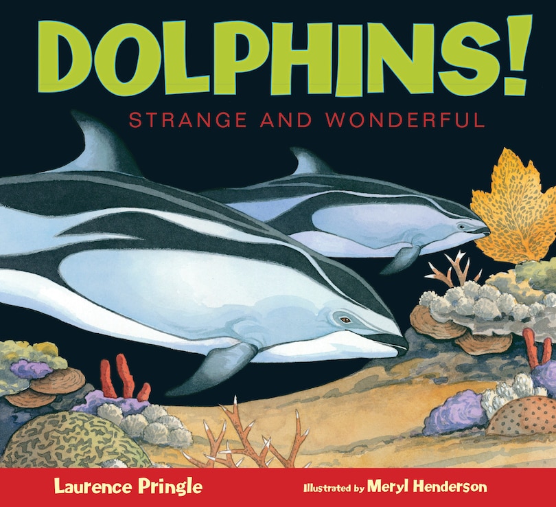 Couverture_Dolphins!