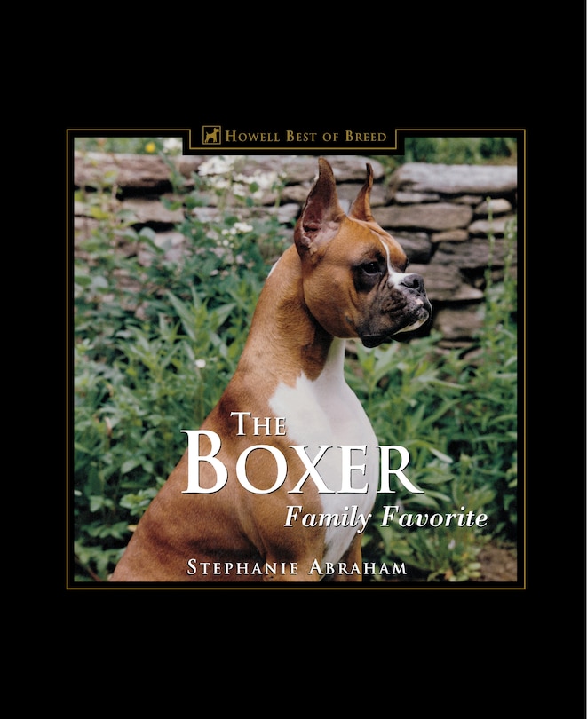 Front cover_The Boxer