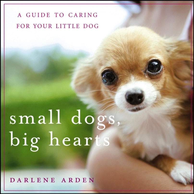 Couverture_Small Dogs, Big Hearts