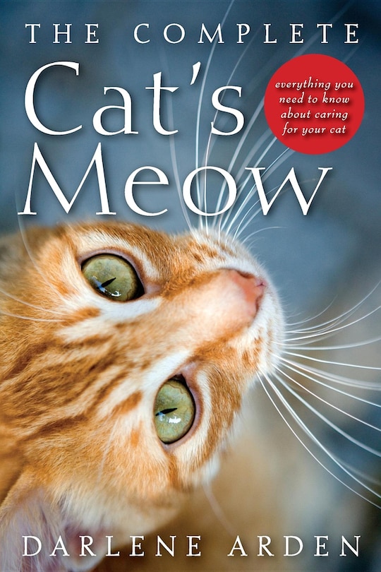 The Complete Cat's Meow: Everything You Need To Know About Caring For Your Cat